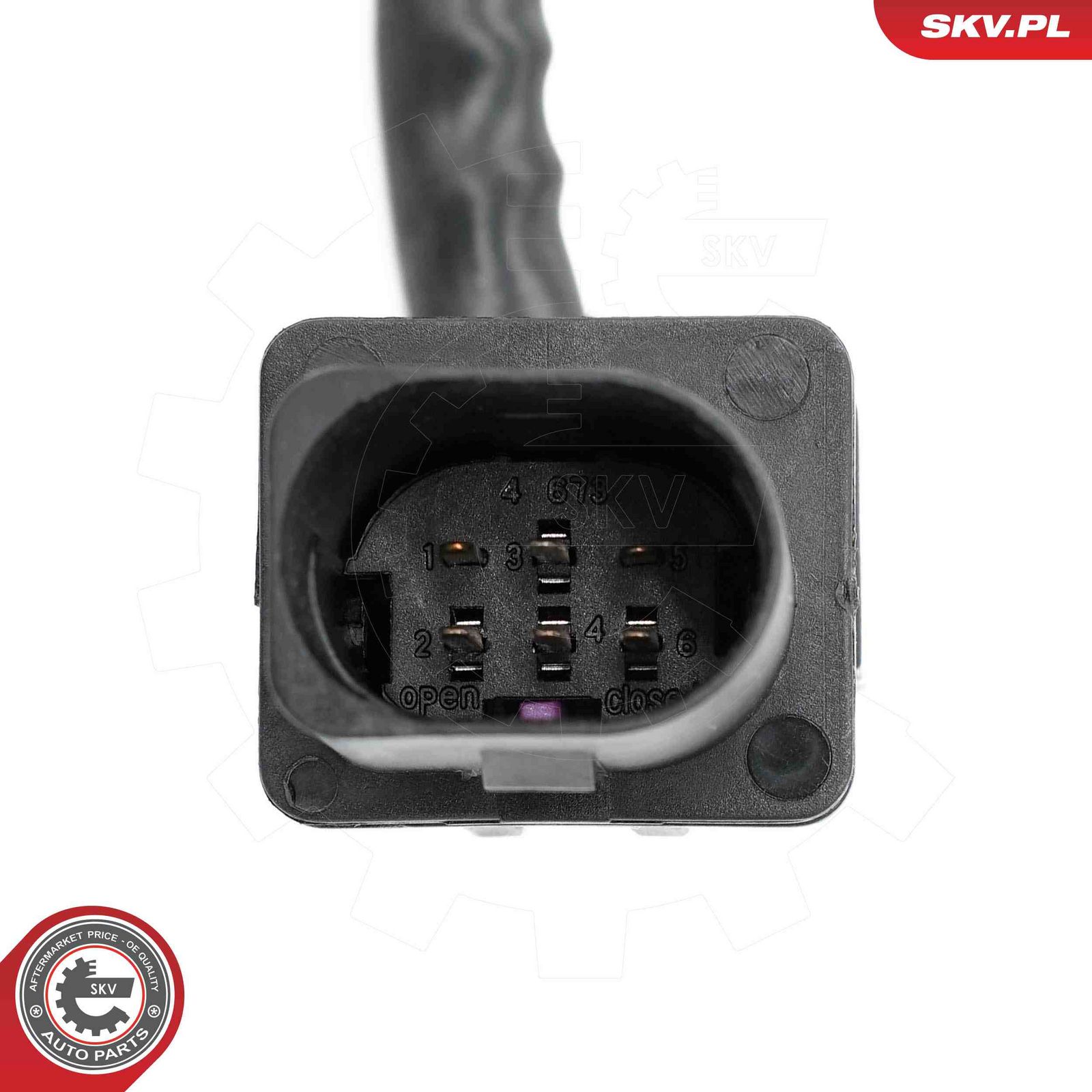 Oxygen Sensor-2