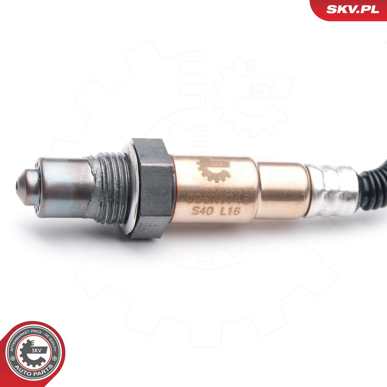 Oxygen Sensor-3