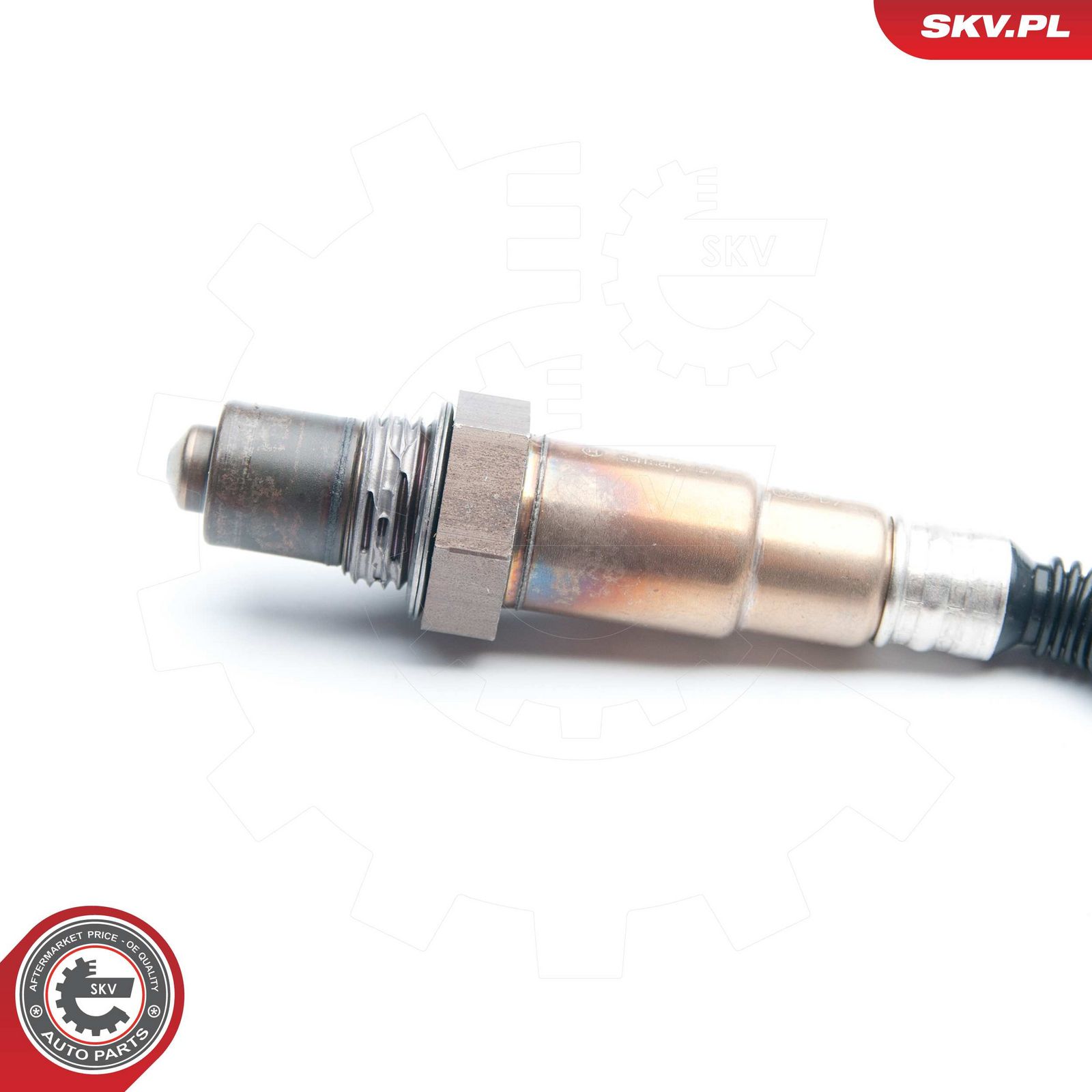 Oxygen Sensor-2