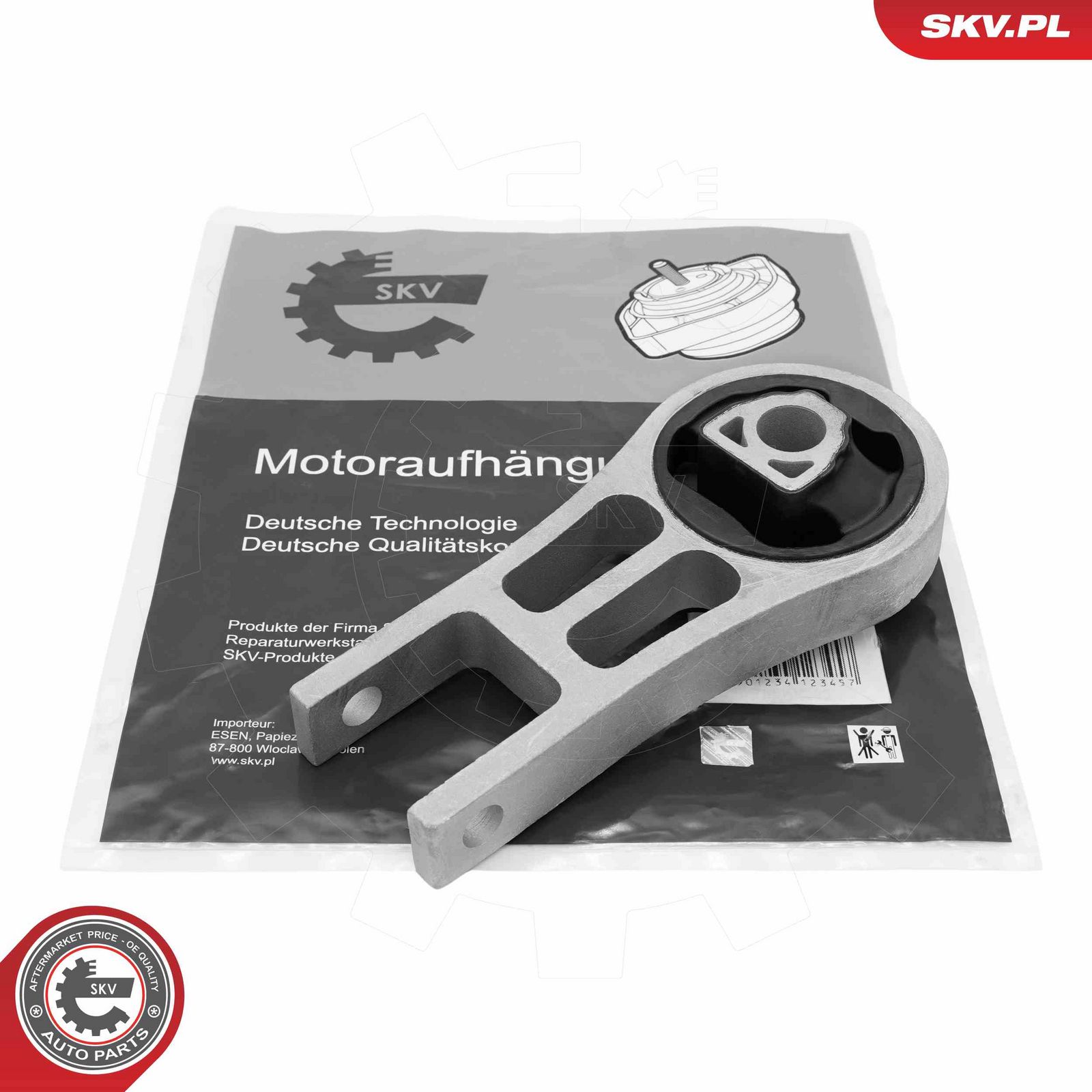 Mounting, engine-4