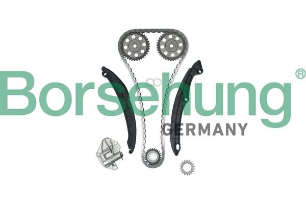 BORSEHUNG B16296 Timing chain kit