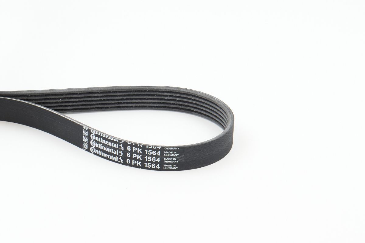 V-ribbed Belt