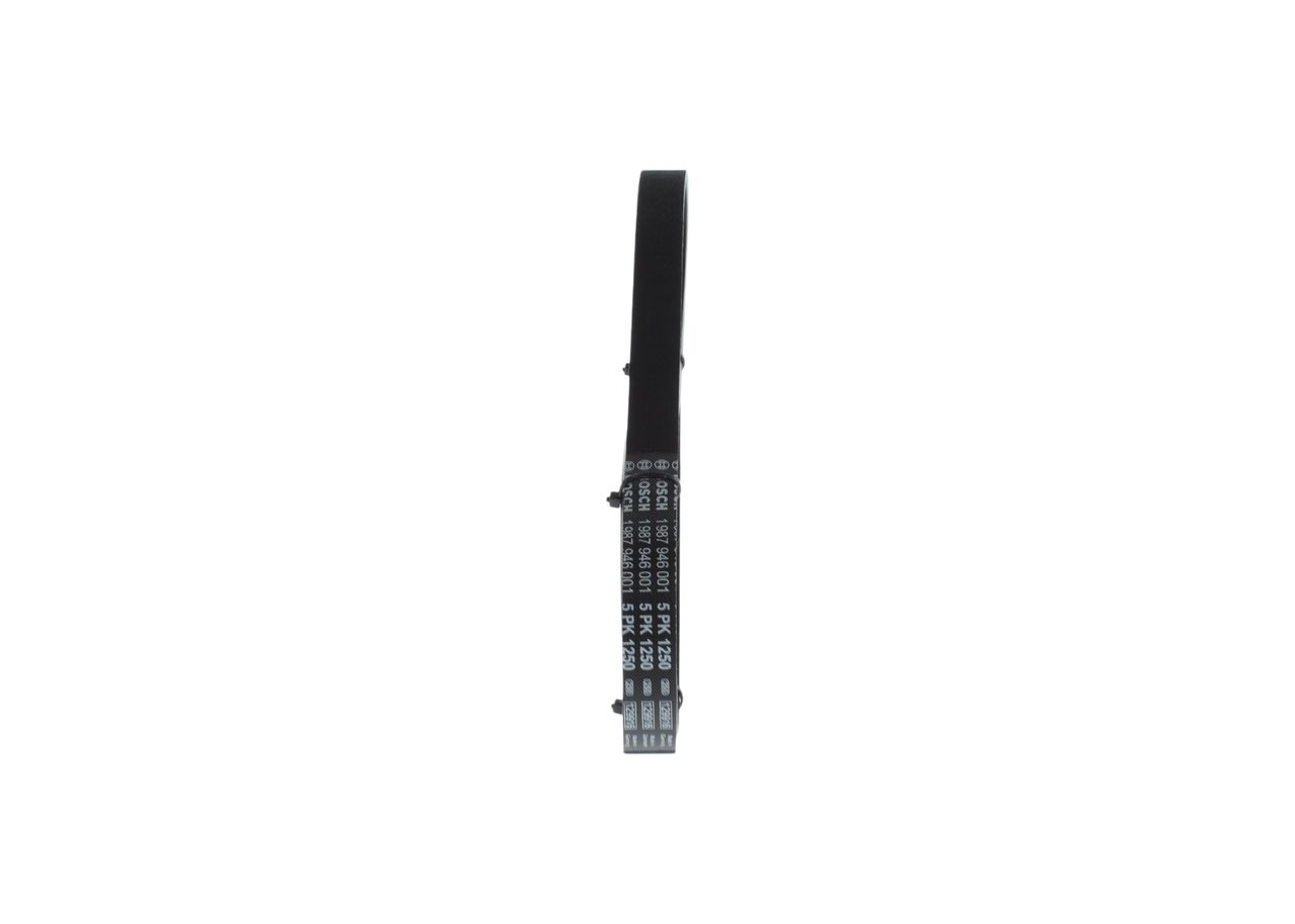 V-ribbed Belt-1