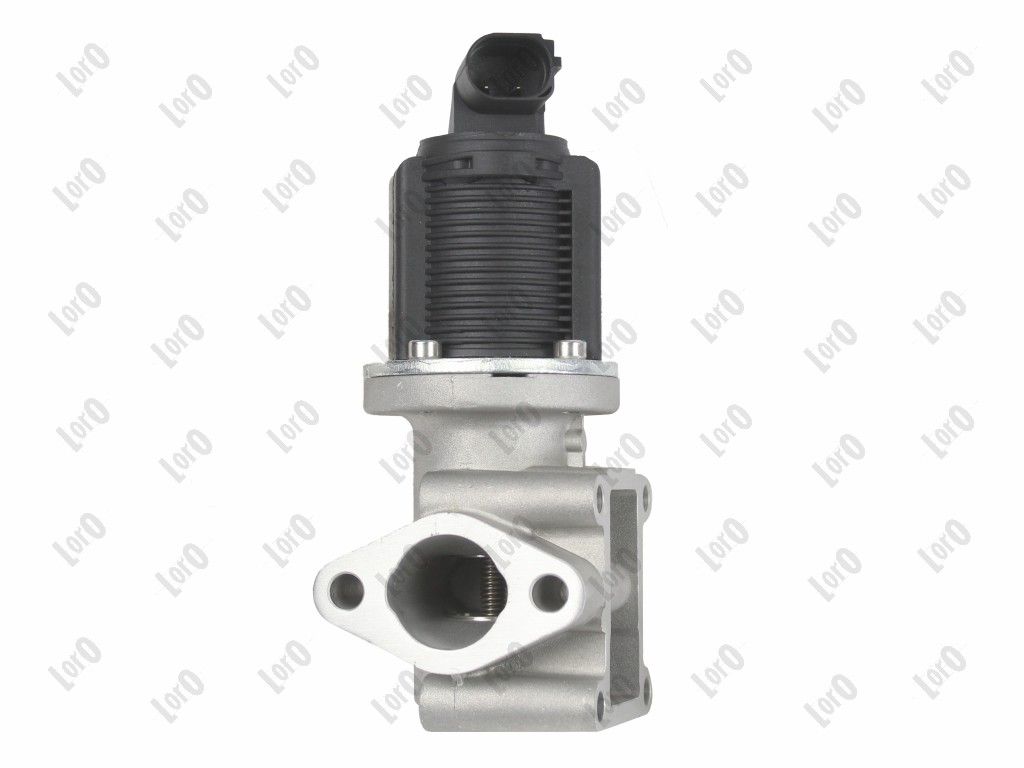 EGR Valve-5