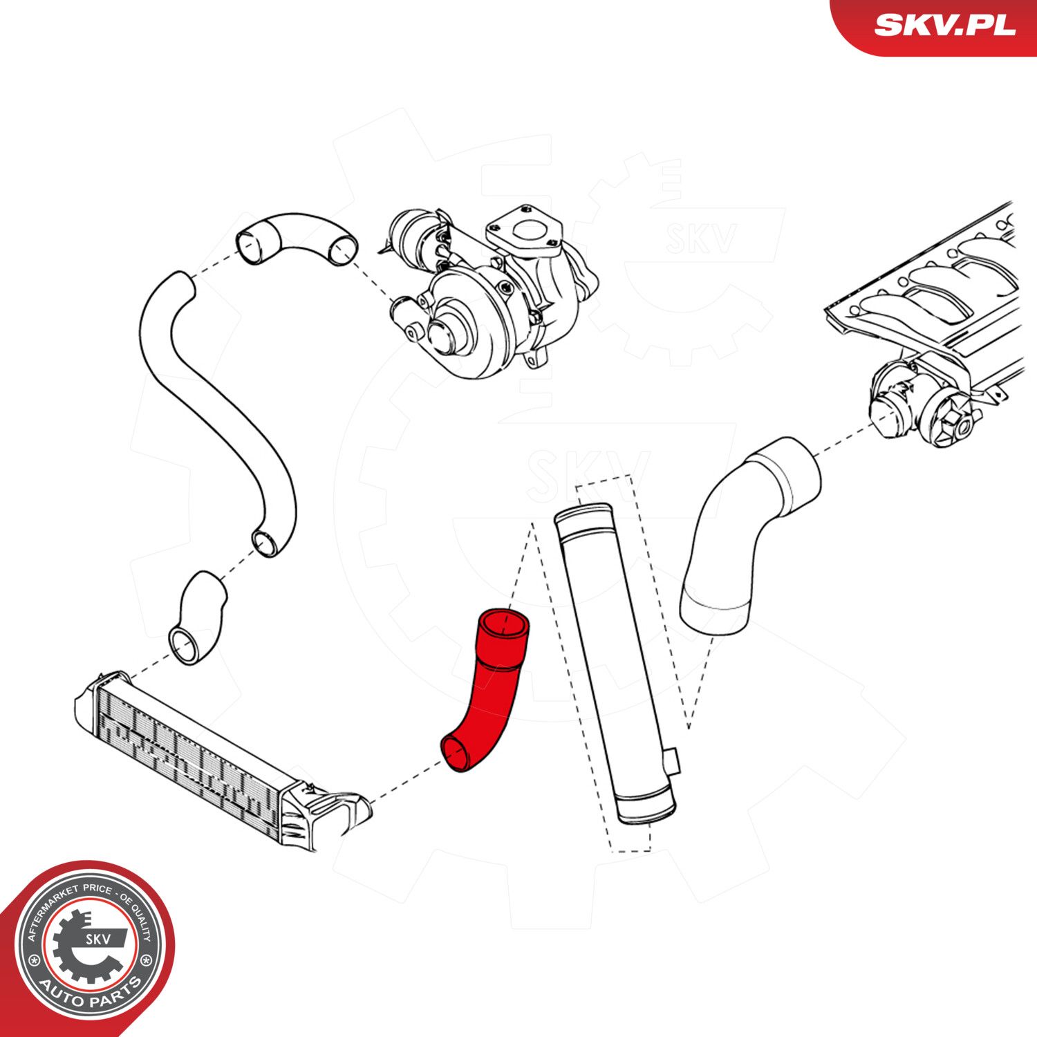 Charge Air Hose-2