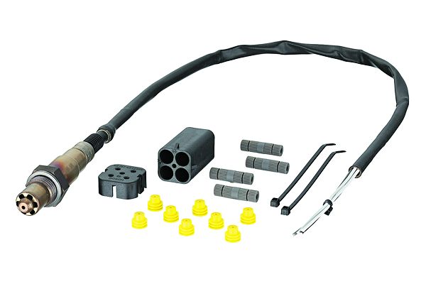 Oxygen Sensor-1