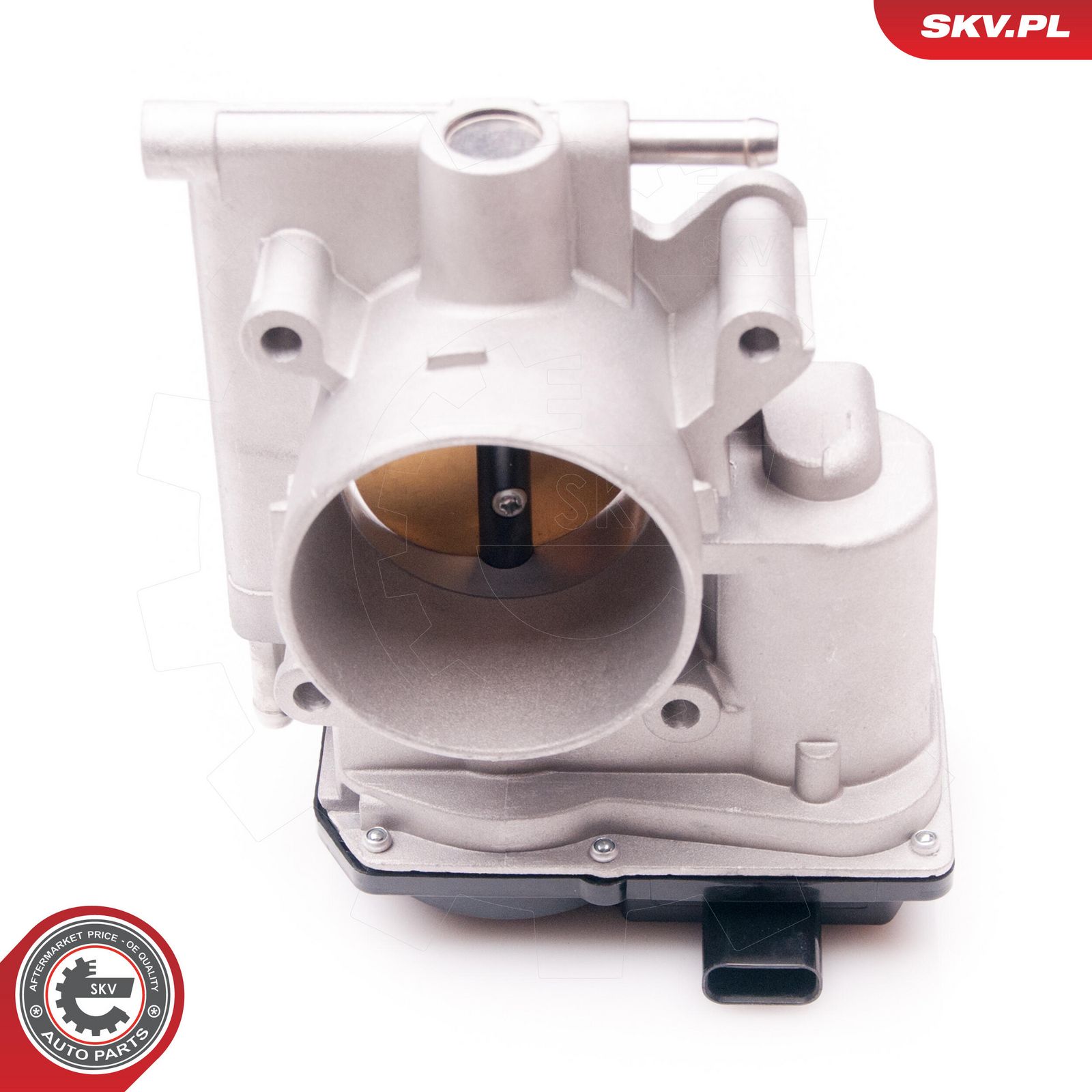 Throttle Body-main