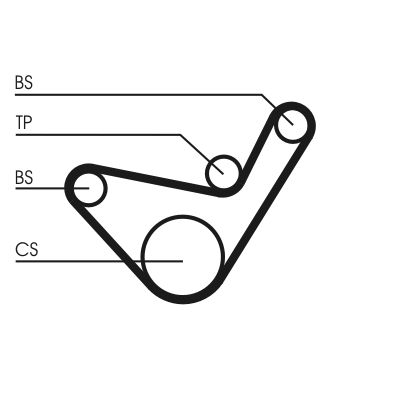 Timing Belt-1