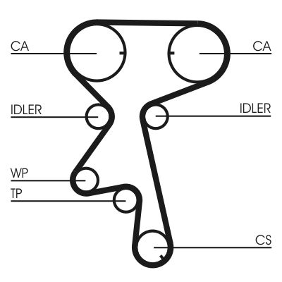 Timing Belt-1