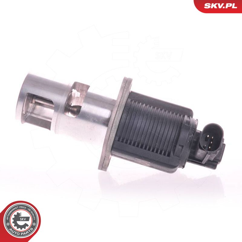 EGR Valve-1