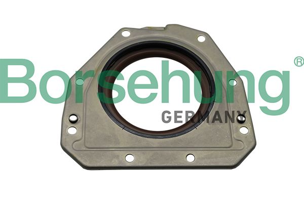 BORSEHUNG B19208 Shaft seal, crankshaft