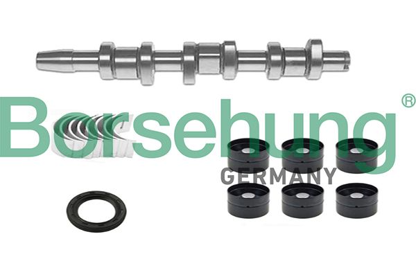 BORSEHUNG B18665 Camshaft kit