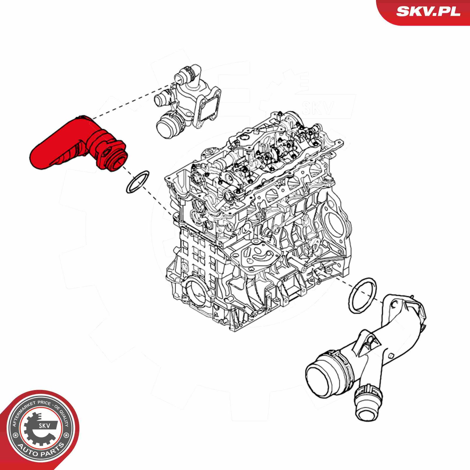 Radiator Hose