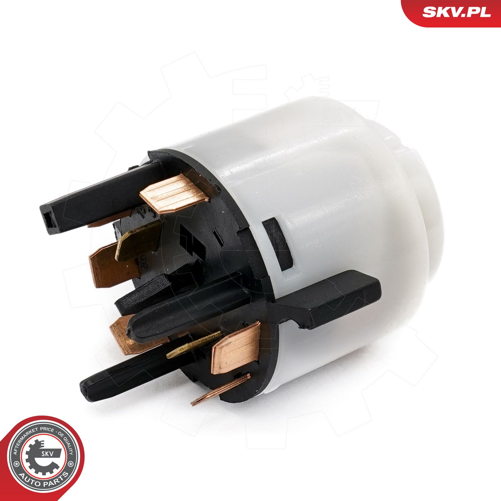 Ignition Switch-1