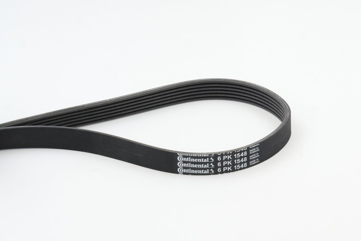 CONTINENTAL CTAM 6PK1548 V-ribbed belt