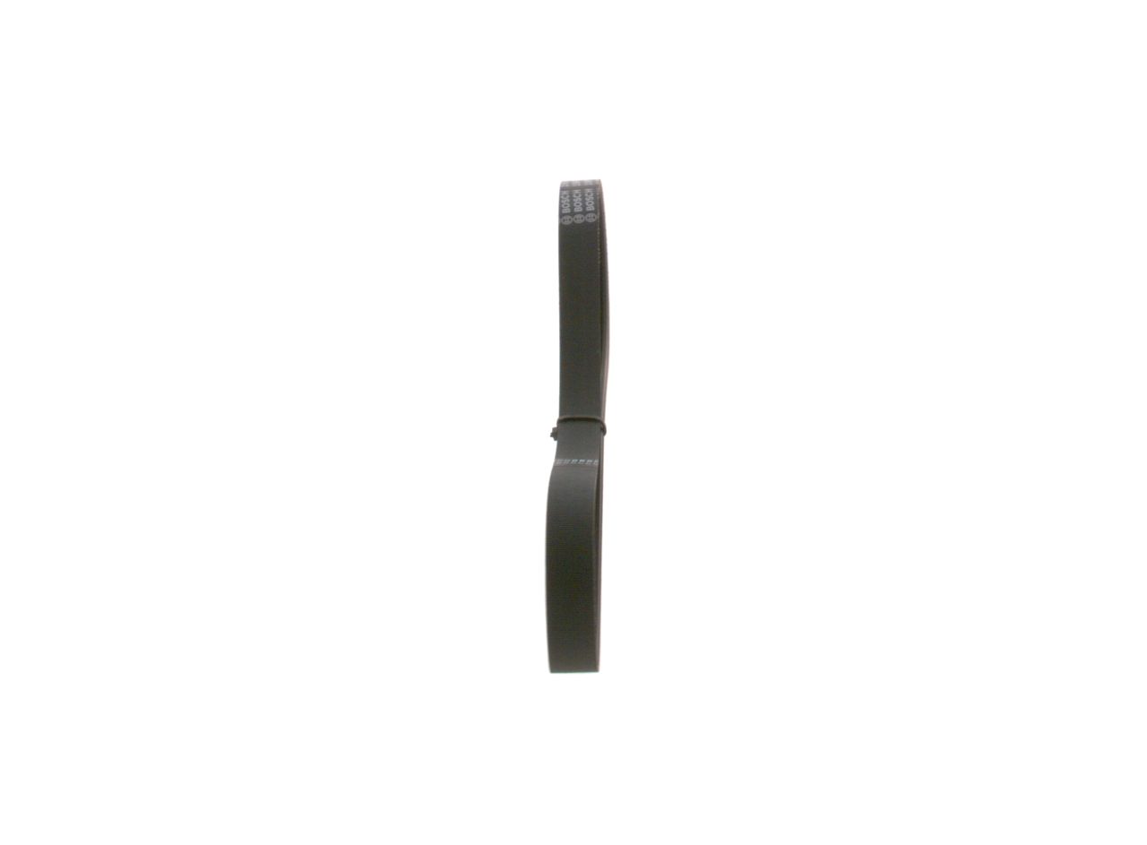 V-ribbed Belt-3