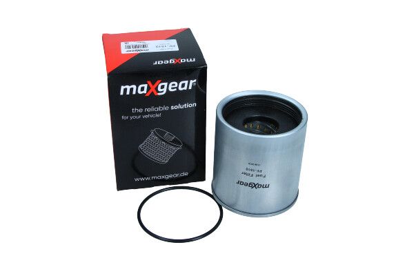 Fuel Filter-2