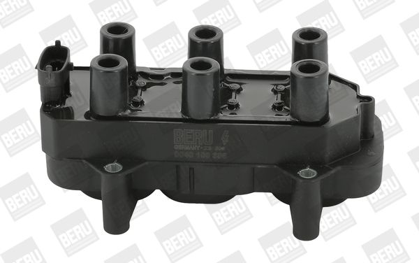 BORGWARNER (BERU) ZS306 Ignition coil