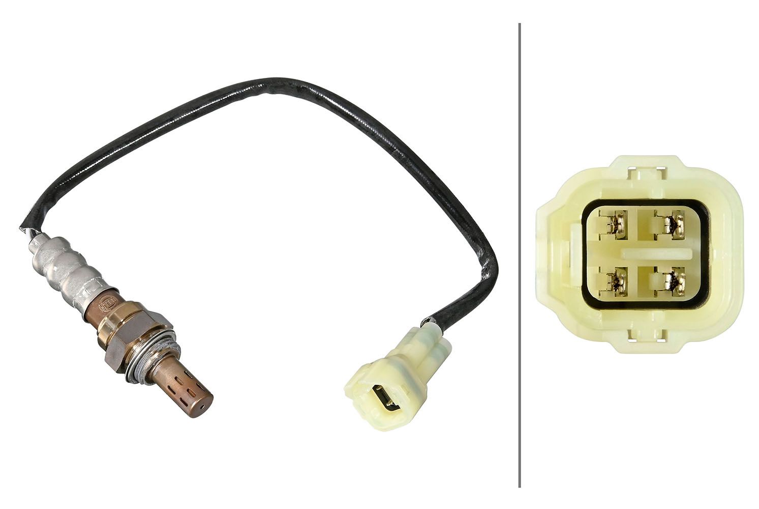 Oxygen Sensor