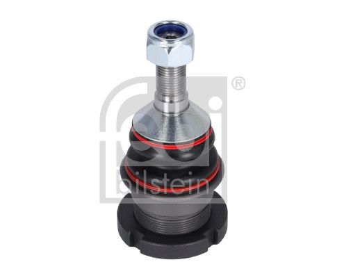 Šarnyras / girgždukas