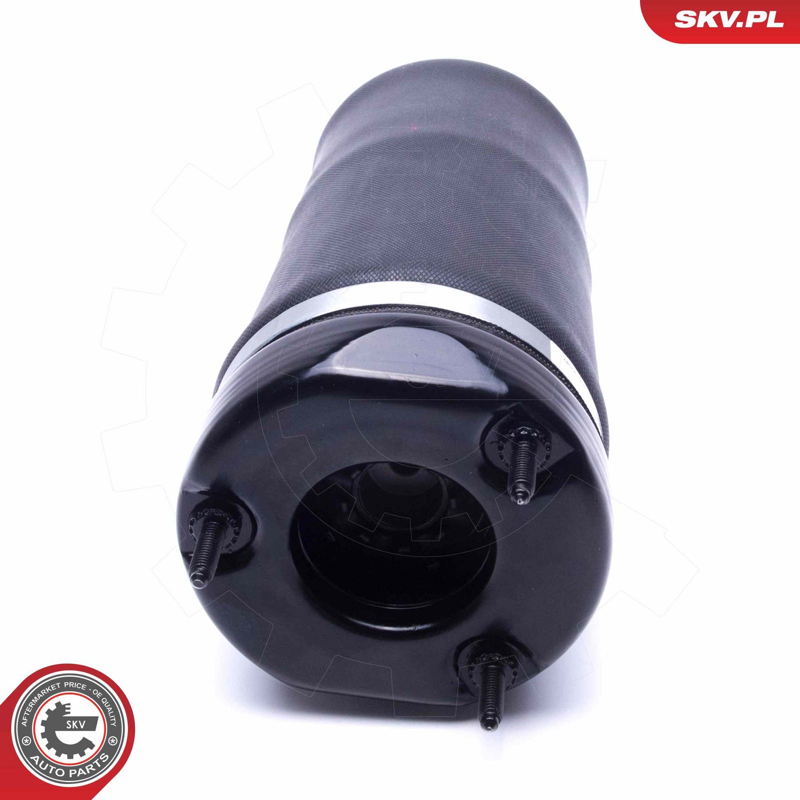 Air Suspension Strut