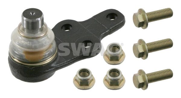 Šarnyras / girgždukas