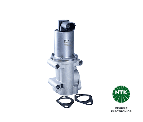 EGR Valve-1
