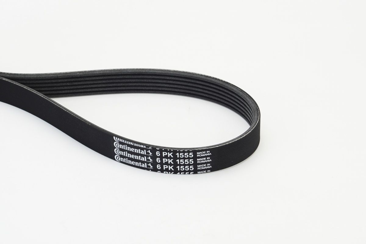 CONTINENTAL CTAM 6PK1555 V-ribbed belt