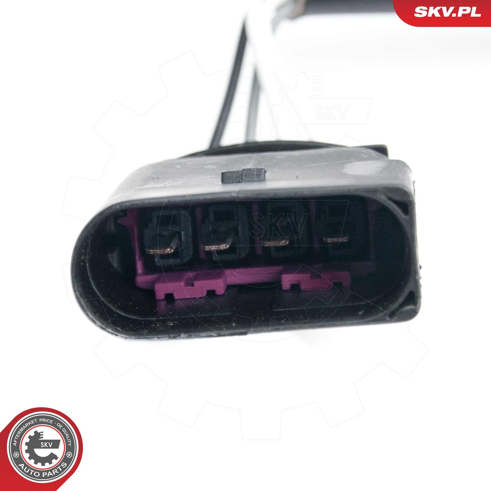Oxygen Sensor-2