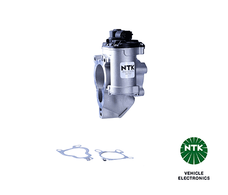 EGR Valve-1