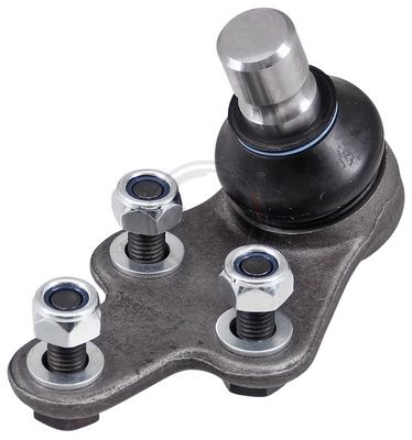 Šarnyras / girgždukas