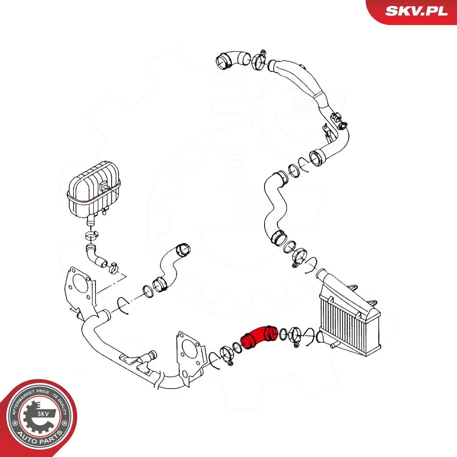 Charge Air Hose-2