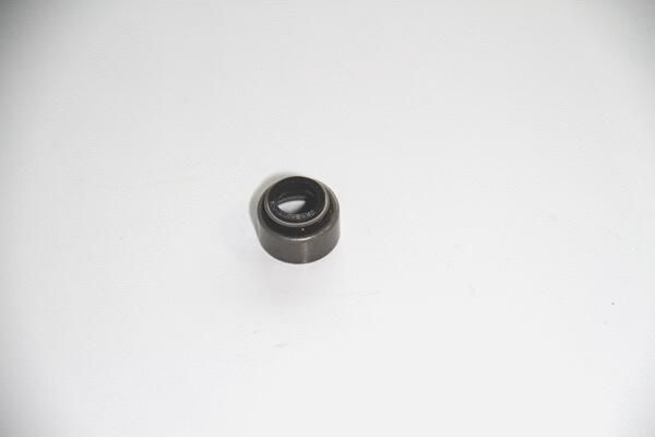 CORTECO 19036949 Seal ring, valve stem