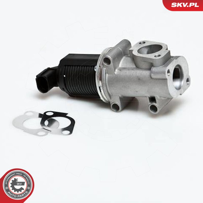 EGR Valve-1