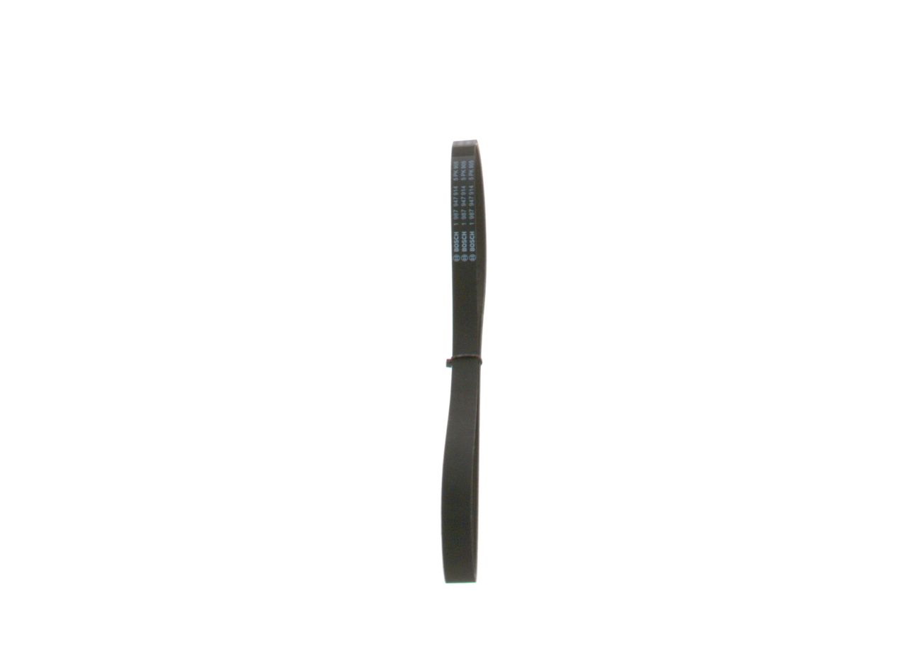 V-ribbed Belt-1