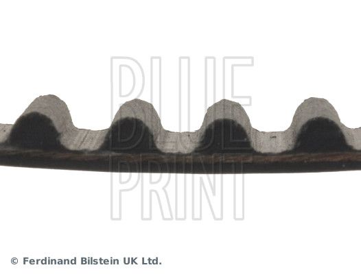 Timing Belt-1