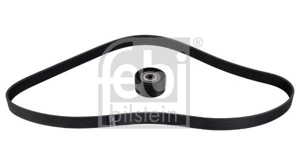 FEBI BILSTEIN 184756 V-ribbed belt set
