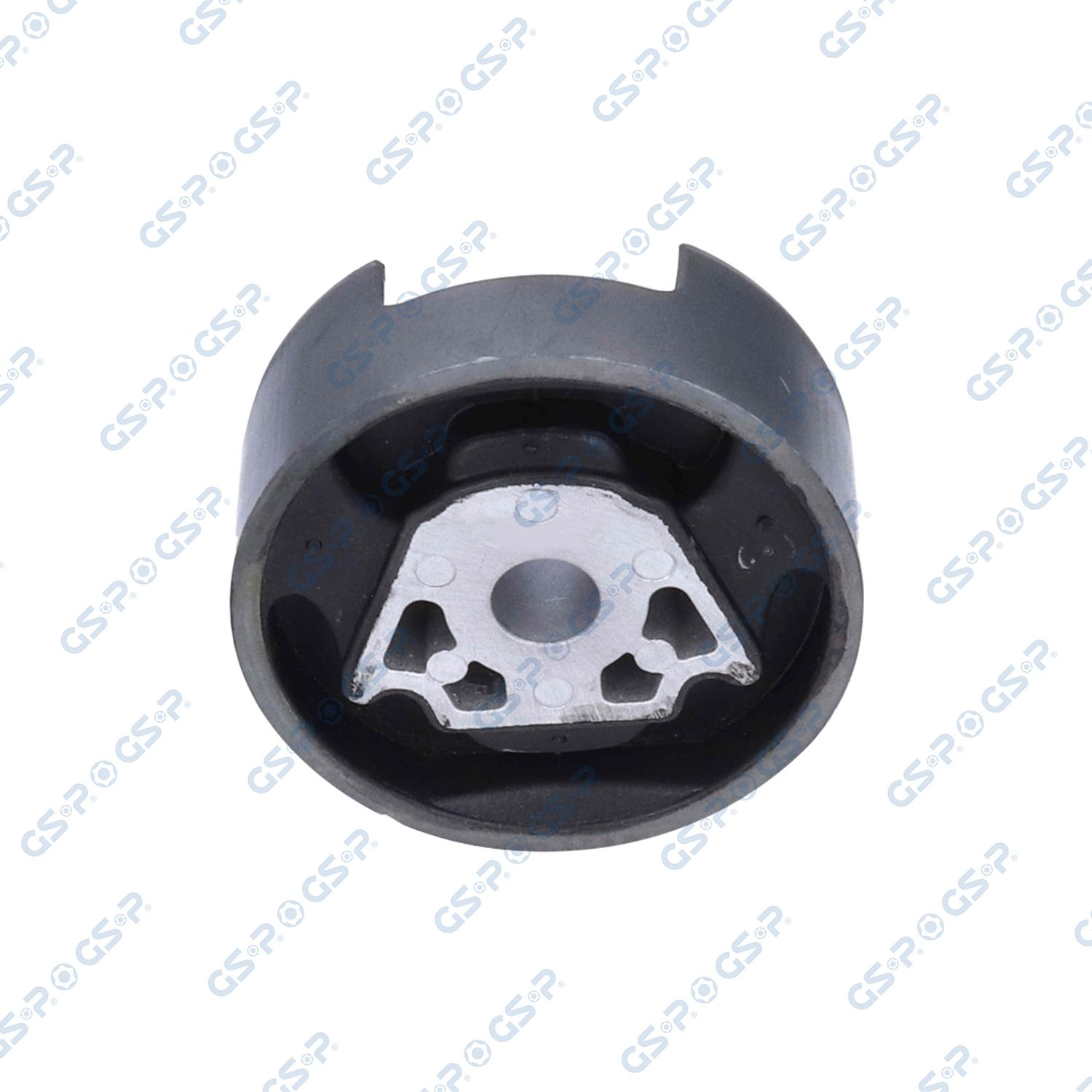 GSP 550563 Mounting, engine