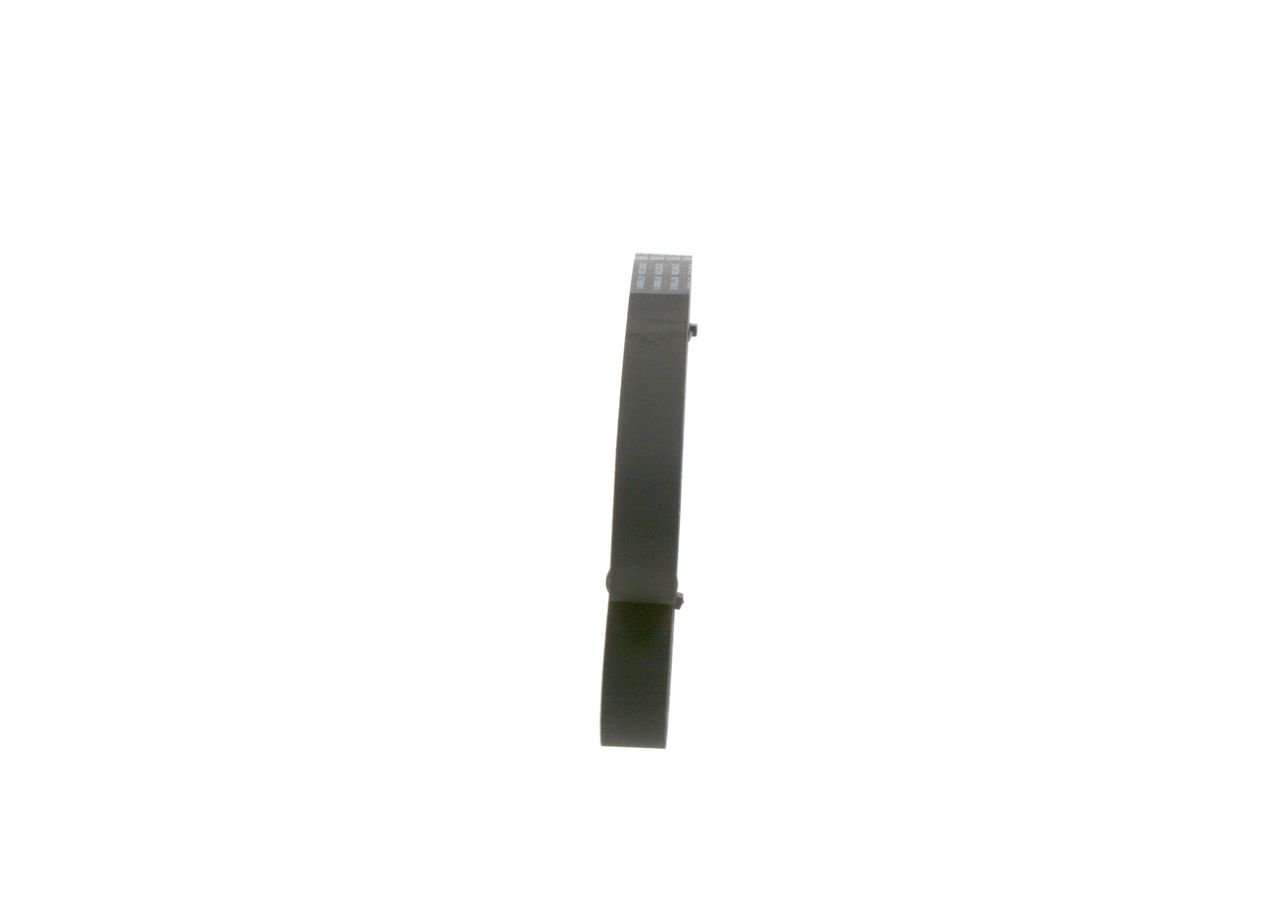 V-ribbed Belt-1