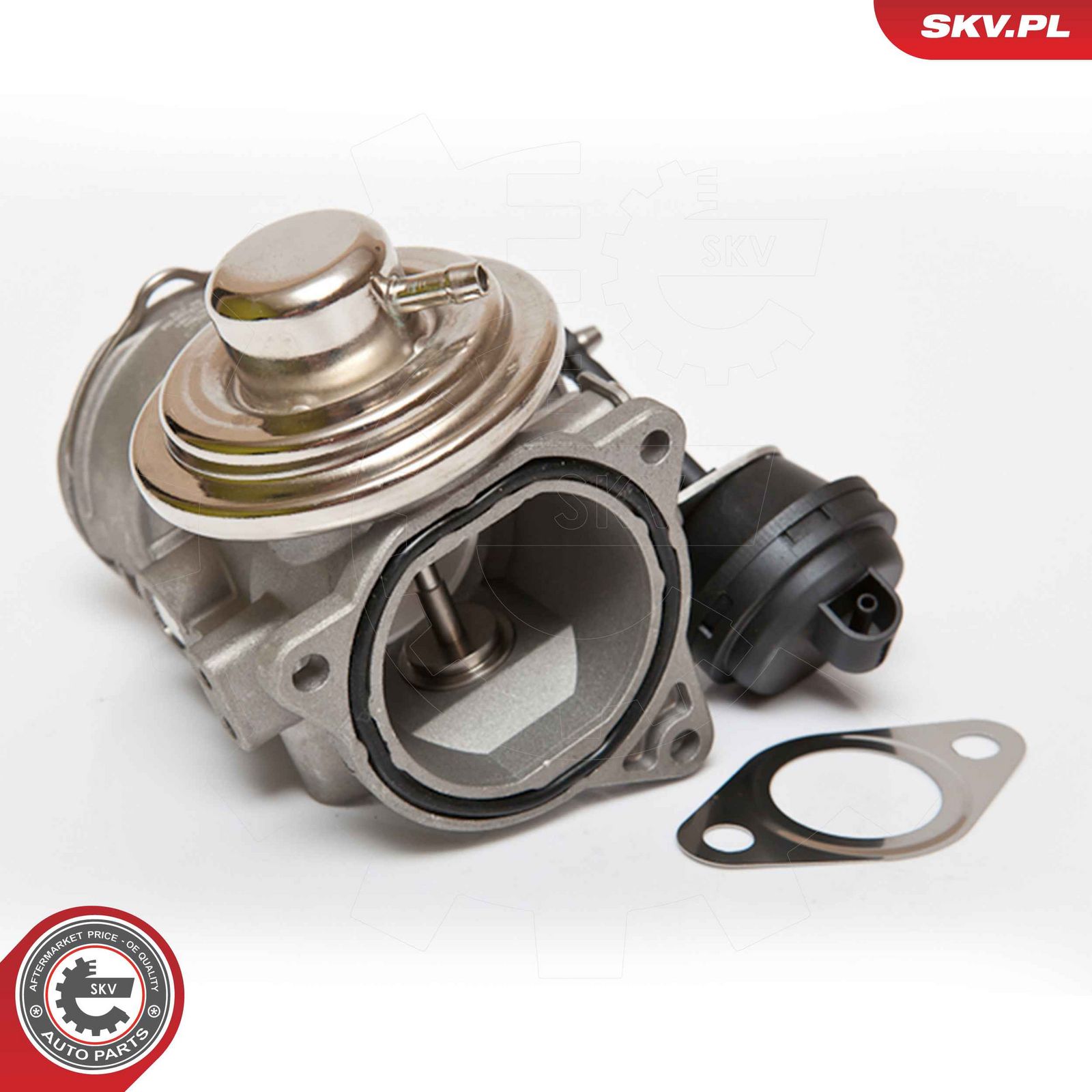 EGR Valve-5