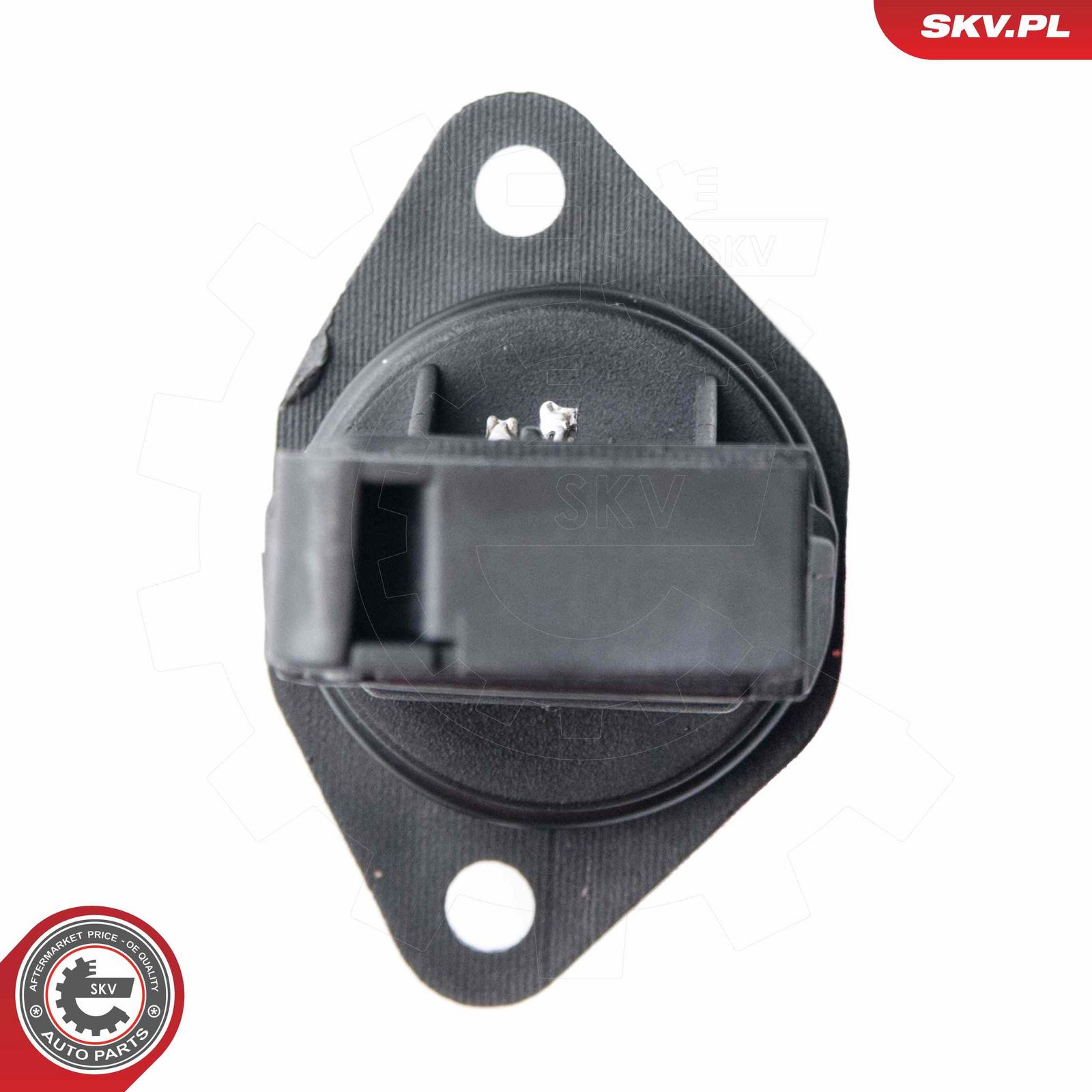 Mass Air Flow Sensor-2