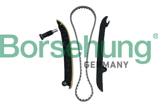BORSEHUNG B18296 Timing chain kit