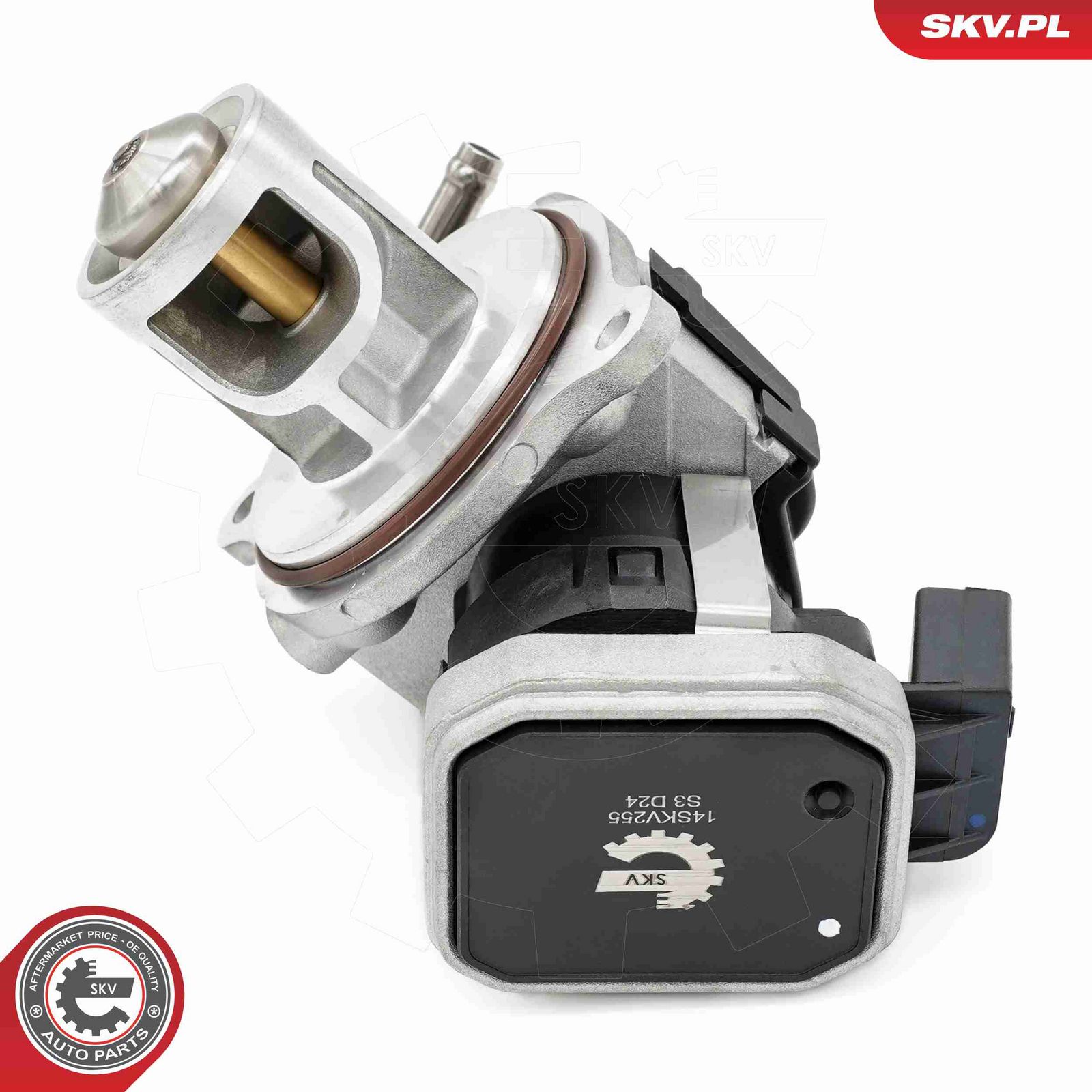 EGR Valve