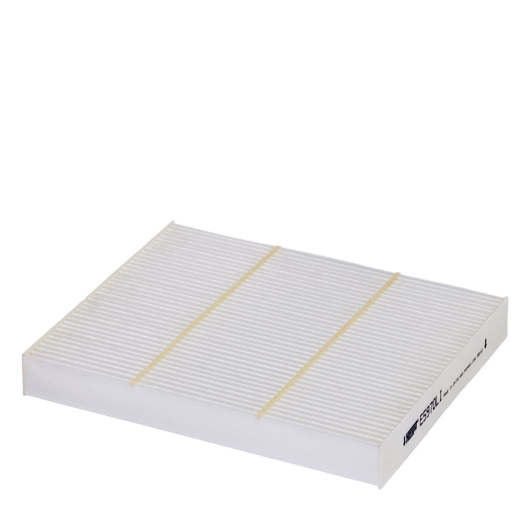 HENGST FILTER E5970LI Filtras, salono oras