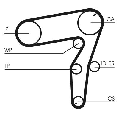 Water Pump & Timing Belt Kit-1