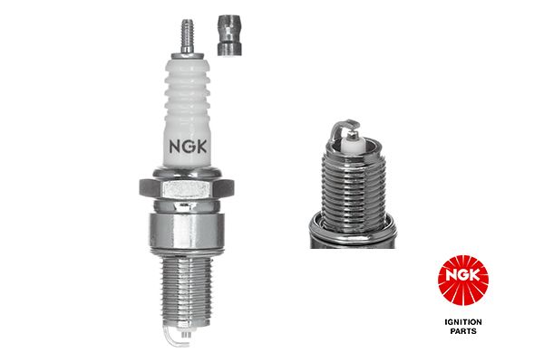 Spark Plug-4