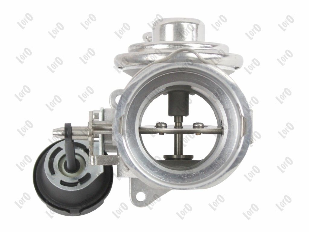 EGR Valve-5