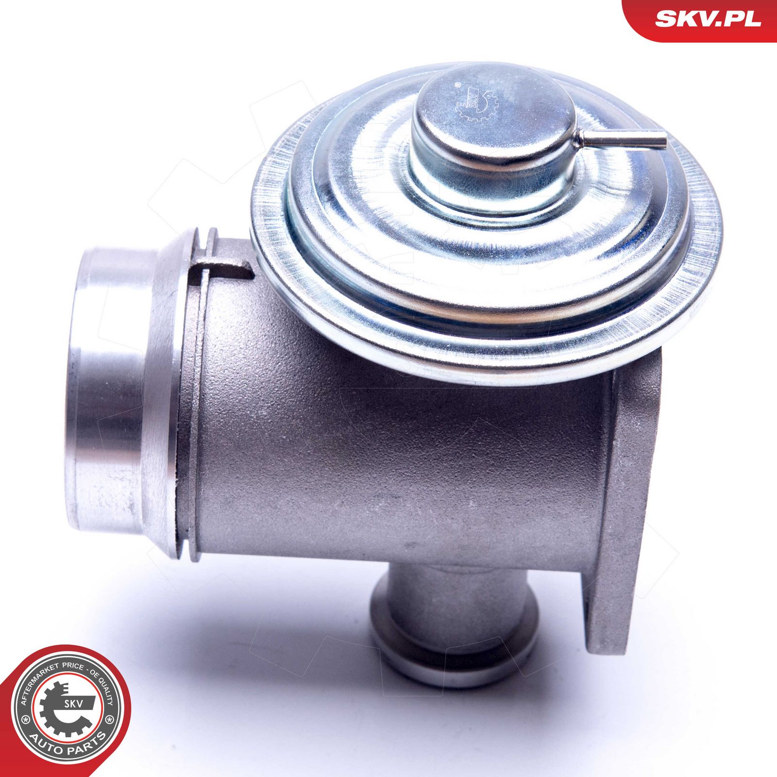 EGR Valve-4