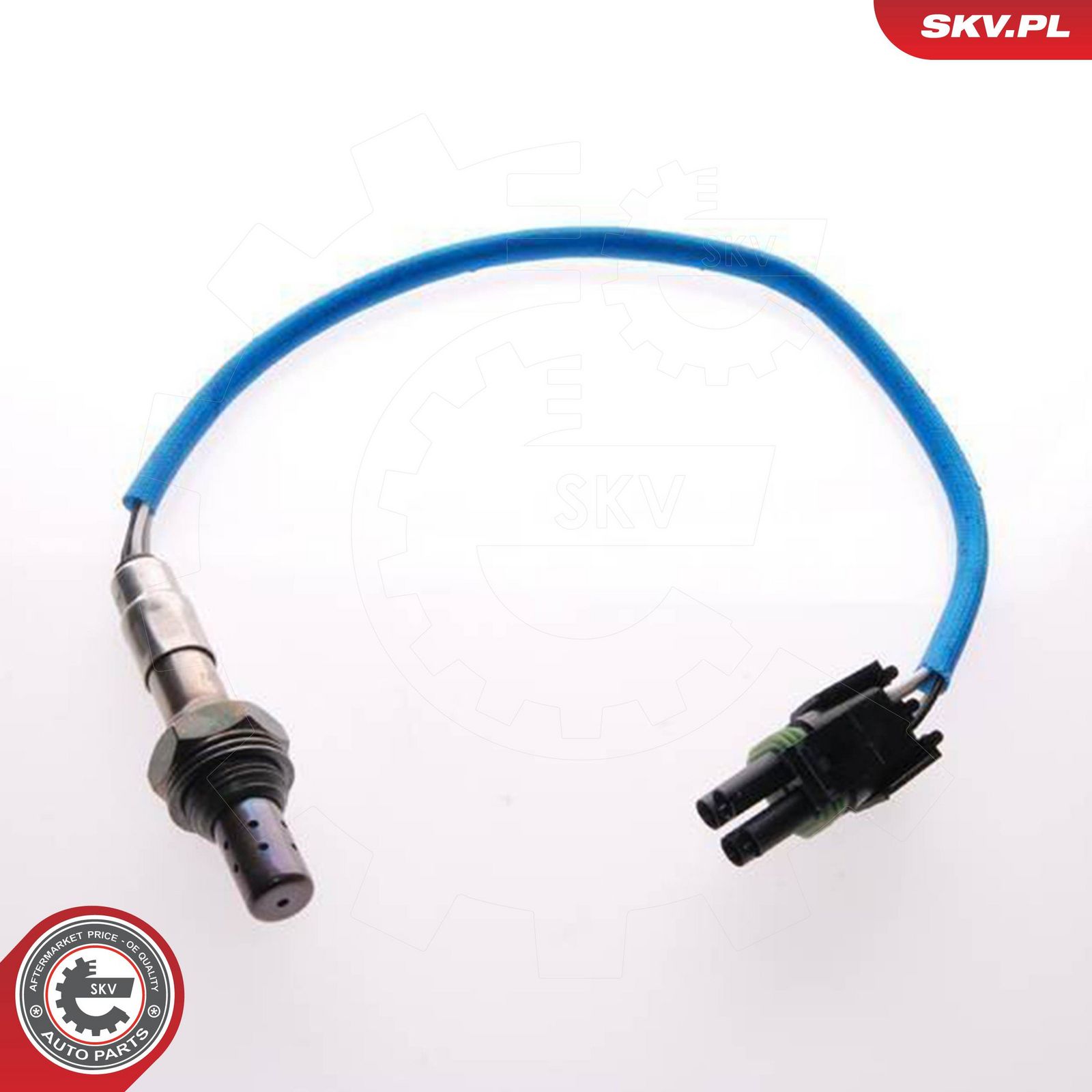 Oxygen Sensor-2