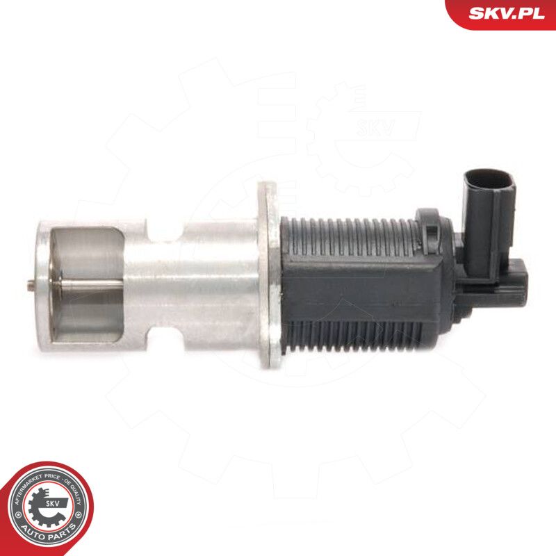 EGR Valve-1